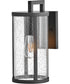 Alfie 1-Light Small Wall Mount Lantern in Black