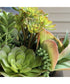 Mico Indoor-Outdoor Succulent Centerpiece