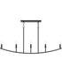 Jheni 5-Light Linear Chandelier Matte Black