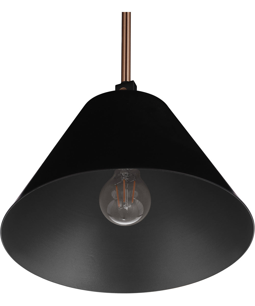 Blake 1-Light Lighting Flat Black/Satin Brass