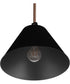 Blake 1-Light Lighting Flat Black/Satin Brass