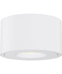 flush mount