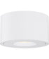 Fulcrum LED Flush Mount w Gimbal White