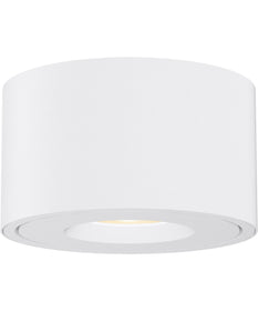 Fulcrum LED Flush Mount w Gimbal White