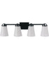 Zane 4-Light Lighting Flat Black