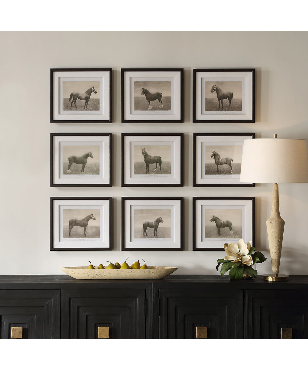 Equine Dynasty Framed Prints, Set of 9