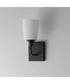 Hudson 1-Light Sconce Black