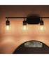 Reines 4-Light Bath Vanity with Clear Glass Shades Matte Black