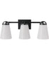 Zane 3-Light Lighting Flat Black