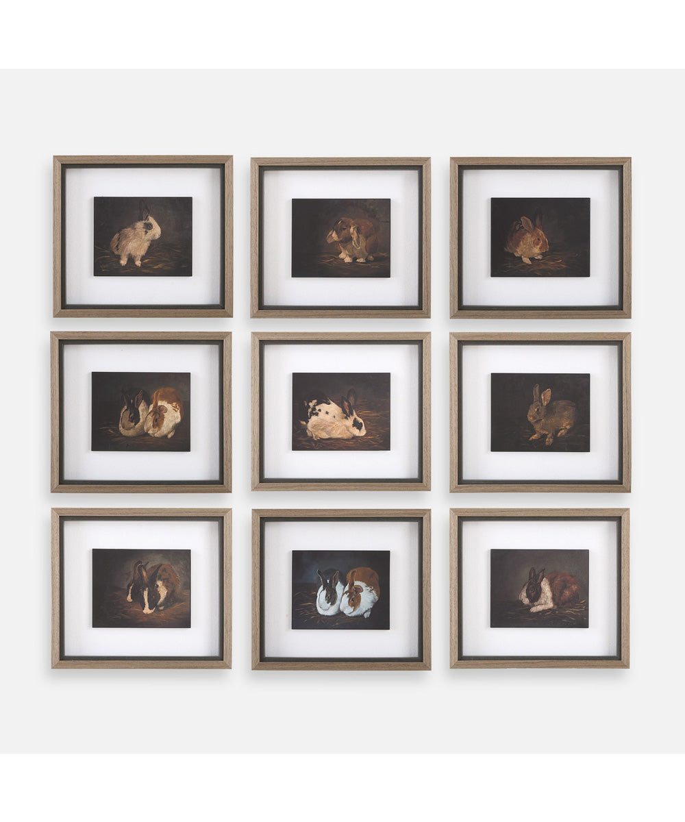 Resting Bunny Framed Prints Set/9