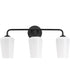 Celino 3-Light Bath & Vanity Black
