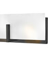 Roman 4-Light Medium Four Light Vanity in Black