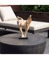 Hollow Form Indoor-Outdoor Teak Sculpture