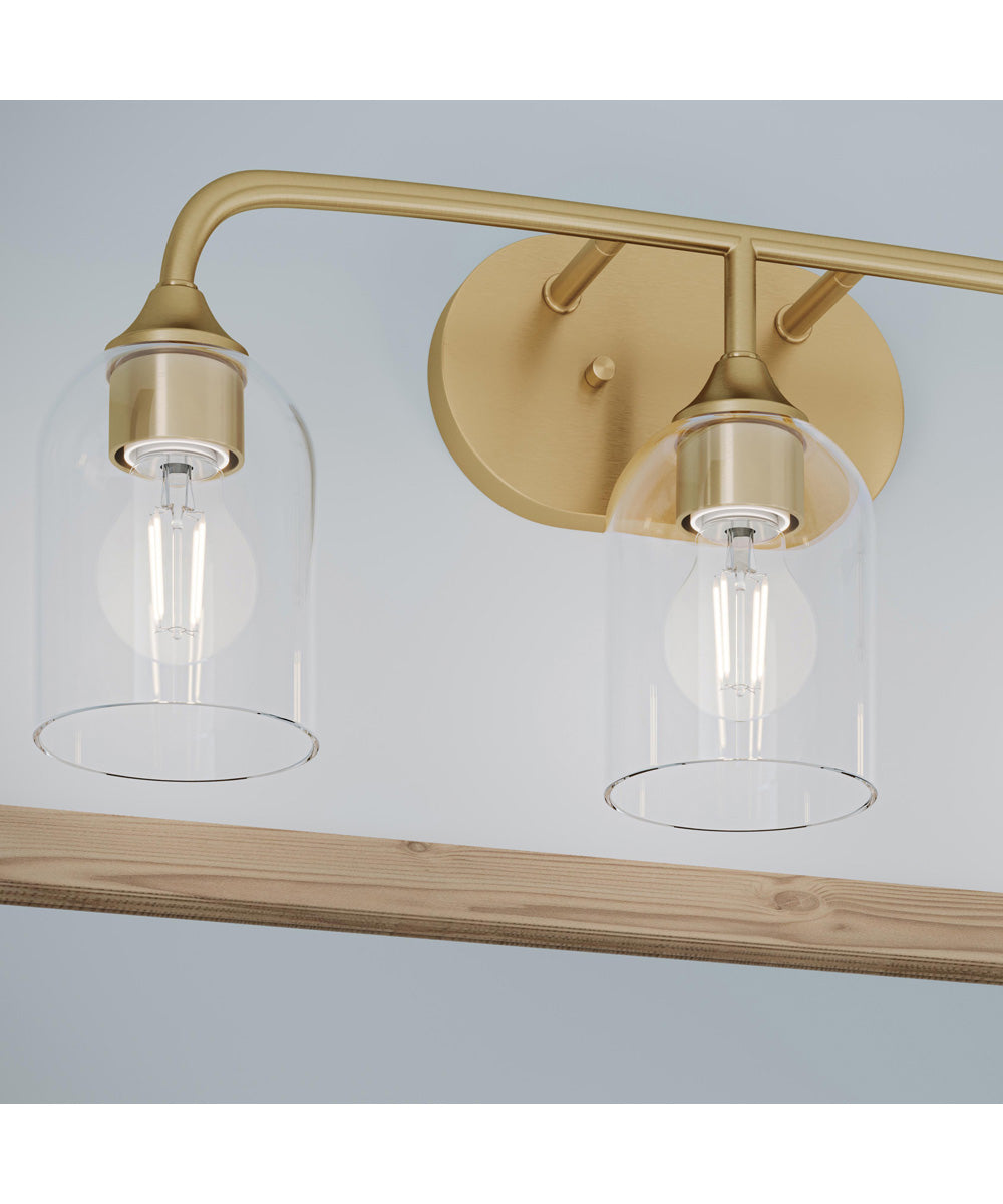 Ilia 3-Light Bath Vanity with Clear Glass Shade Brushed Gold