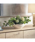Protea Blooms White Bowl Centerpiece