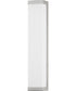 Tunnel 26-28 inch LED Outdoor Sconce Brushed Aluminum