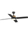 Ceiling Fans and Accessories