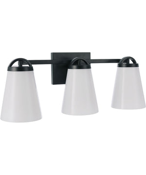 23"W Zane 3-Light Opal Glass Bath Vanity Light Flat Black