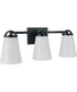 Zane 3-Light Lighting Flat Black