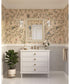 Quillan 1-Light Transitional Bath & Vanity Light White Plaster