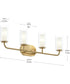 Mack 4-Light Vanity Light with Layered Glass Shades Brushed Gold