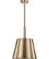 Alexis 1-Light Pendant Burnished Brass / Gold