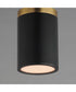 Dapper 1-Light Flush Mount Black / Antique Brass