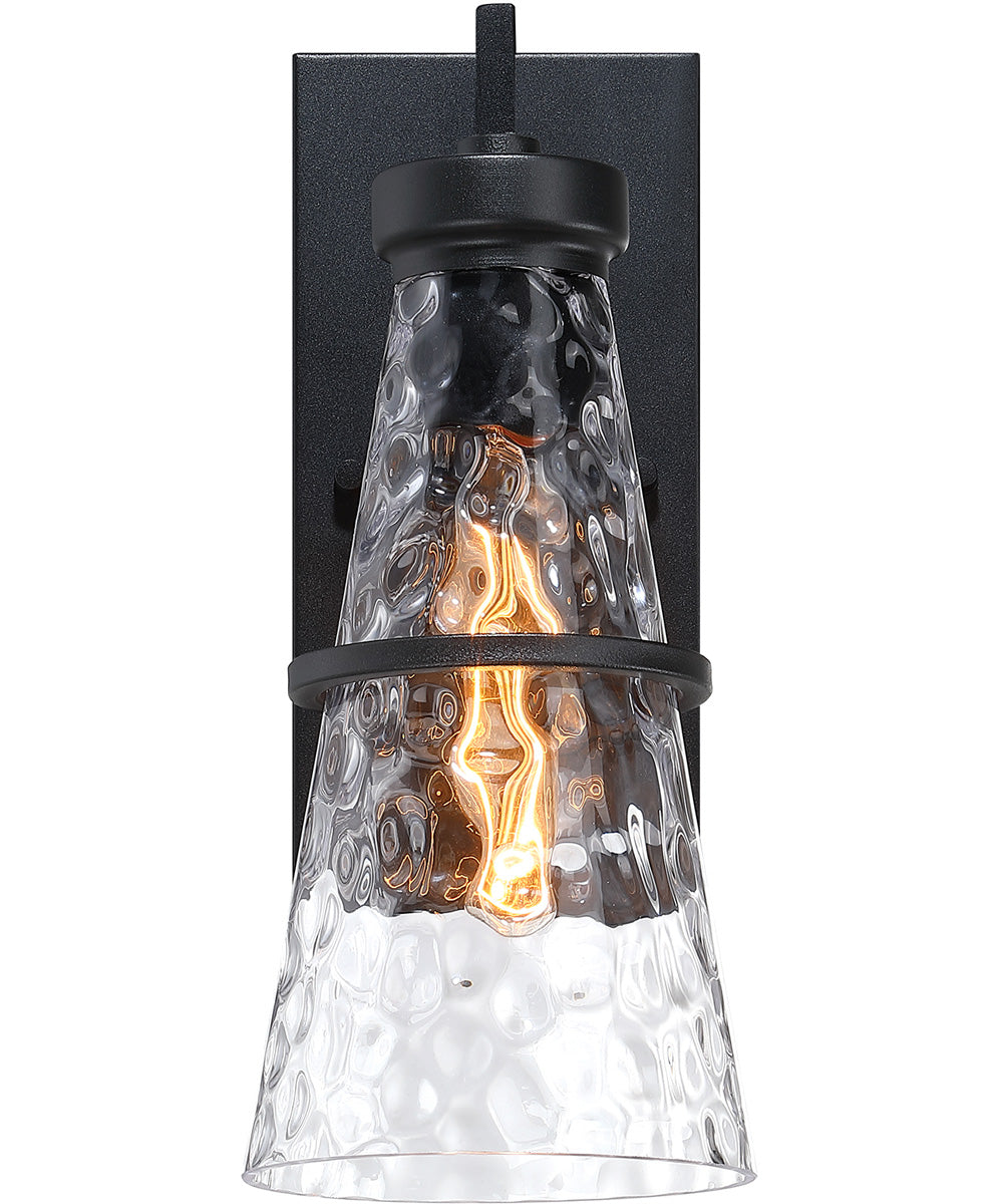 Field Daisy Lane Outdoor Wall Sconce Black