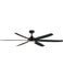Ceiling Fans and Accessories