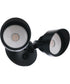 LED Flood 2-Light Outdoor Lighting Midnight