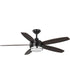 Albin 54" Indoor/Outdoor 5-Blade Ceiling Fan Black