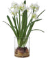 Lacey Daffodil Accent Arrangement