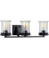 Winslett 3-Light Clear Seeded Glass Coastal Bath Vanity Light Matte Black