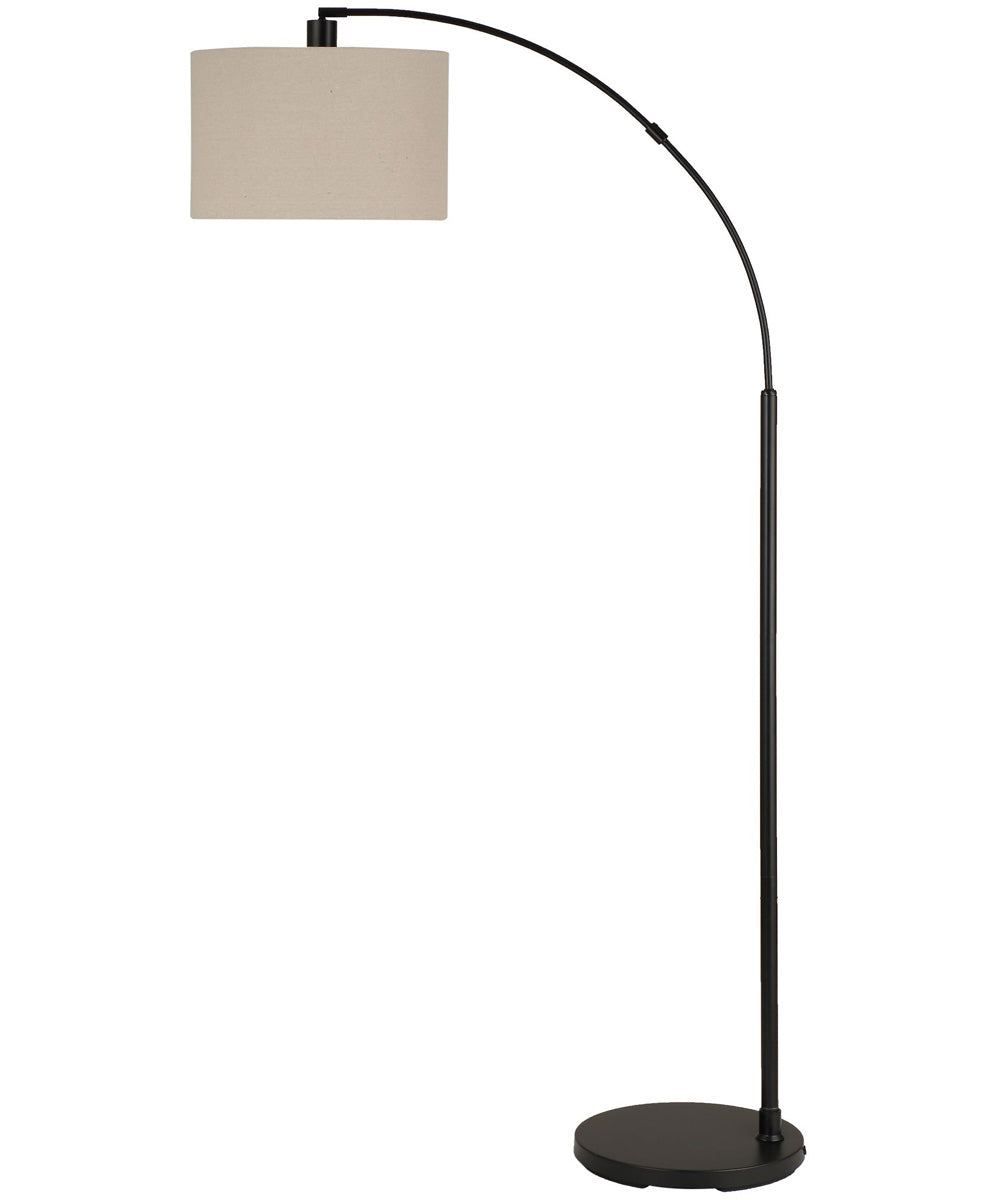 Arc Floor Lamp with Black Finish