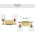 Reines 2-Light Bath Vanity with Clear Glass Shades Brushed Gold