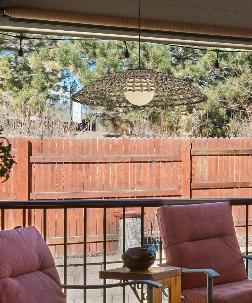 Arlen 1-Light Large Hanging Pendant 12v in Black