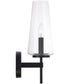 Aaron 1-Light Sconce Matte Black