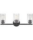 Leta 3-Light Medium Three Light Vanity in Black