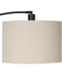 Arc Floor Lamp with Black Finish