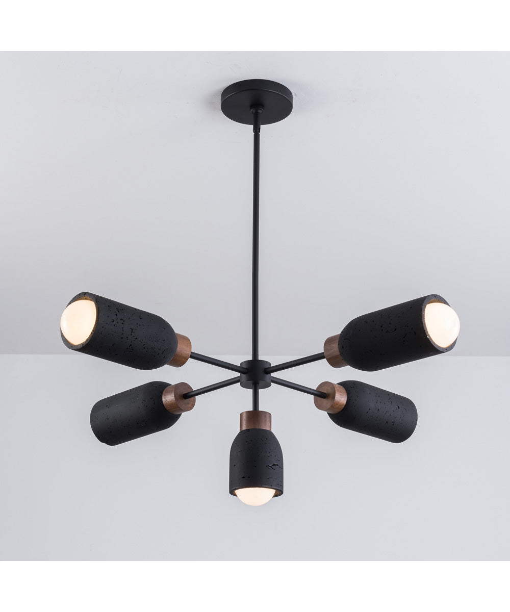 Pompeii 5-Light Pendant Lava / Black