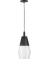Livie 1-Light Small Single Light Convertible Pendant in Black