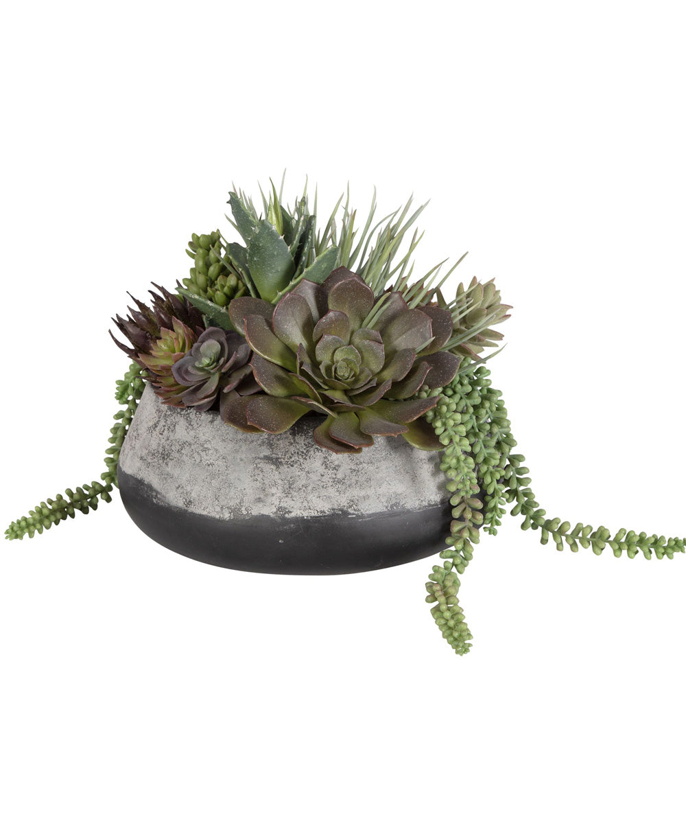 Yuma Succulent Centerpiece