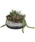 Yuma Succulent Centerpiece