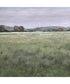 Quiet Meadows Framed Prints, Set of 4