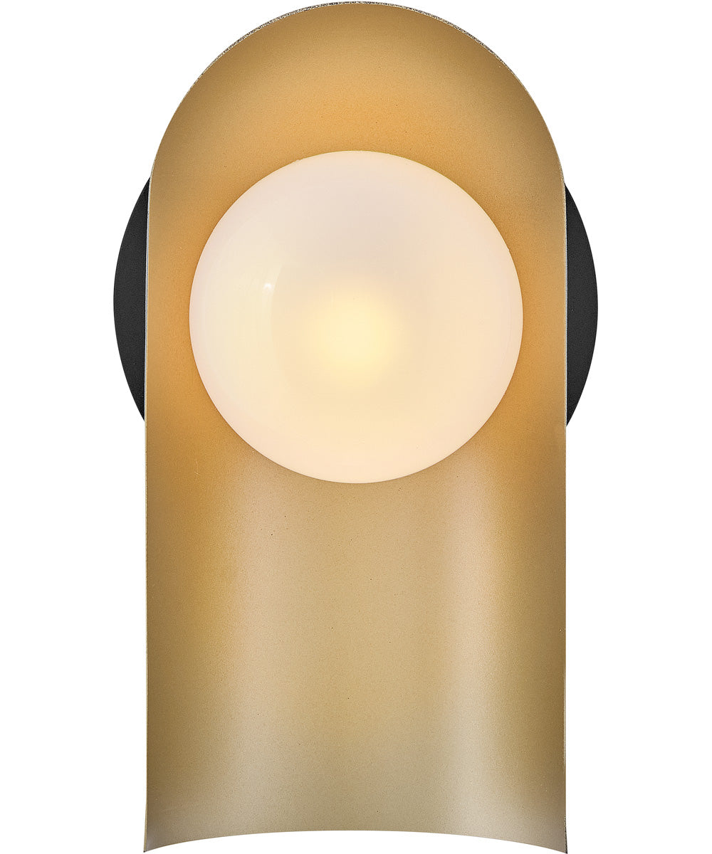 Zuri 1-Light Medium Single Light Sconce in Black