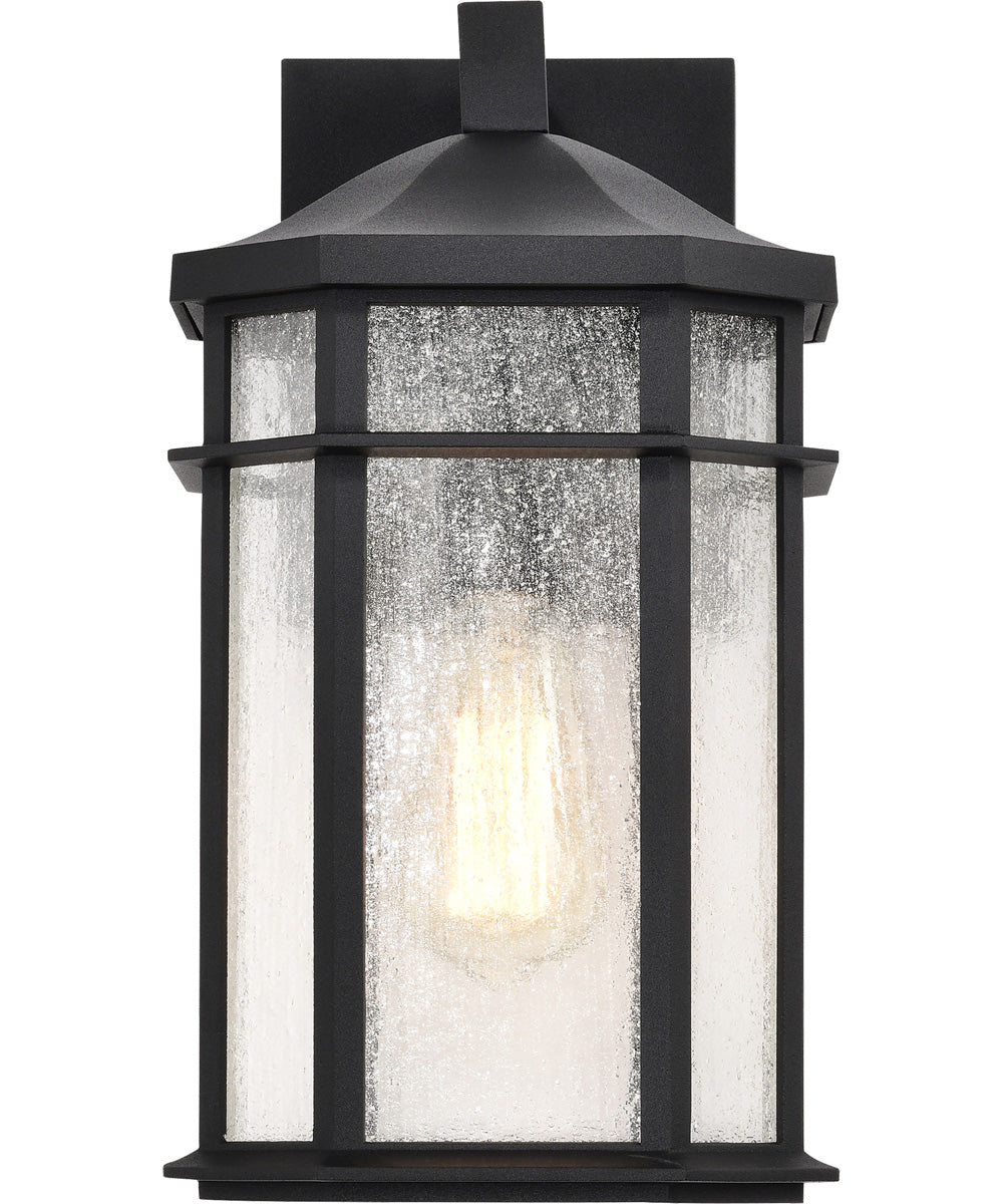 Raiden 1-Light Outdoor Matte Black