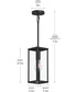 Ryle 1-Light Outdoor Pendant Light with Clear Glass Panels Matte Black