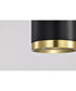 Century  Pendant Matte Black / Brushed Brass