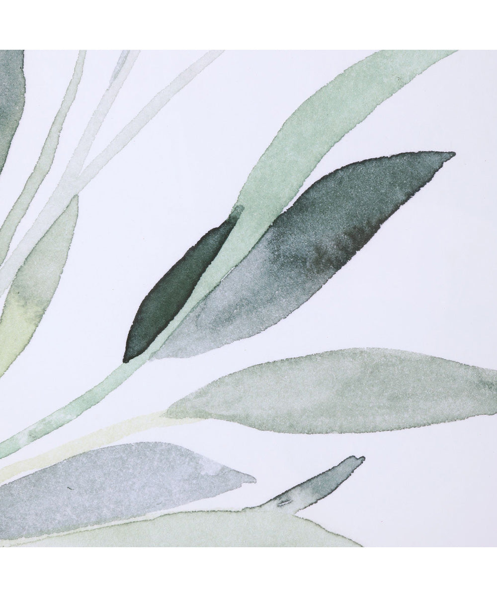 Simple Sage Watercolor Prints Set of 3