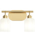 Reines 2-Light Bath Vanity with Opal Glass Shades Brushed Gold